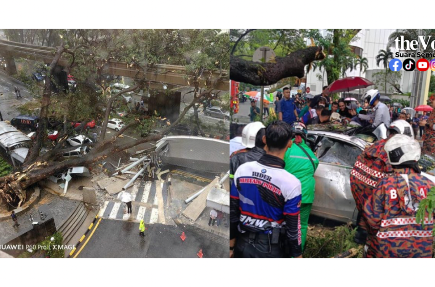  Insiden Pokok Tumbang – Gangguan Perkhidmatan Monorel