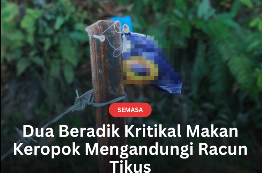  Dua Beradik Kritikal Makan Keropok Mengandungi Racun Tikus