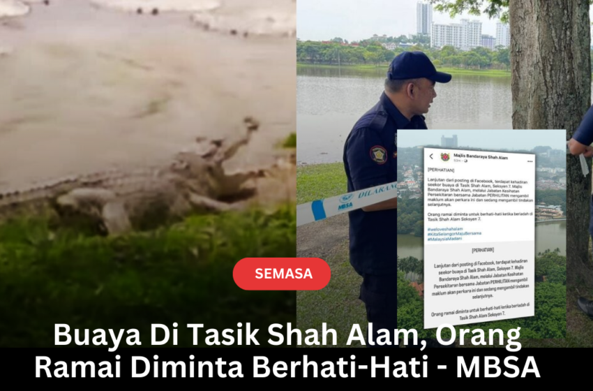  Buaya Di Tasik Shah Alam, Orang Ramai Diminta Berhati-Hati – MBSA